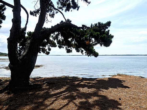 istock View of the sea 2230277073