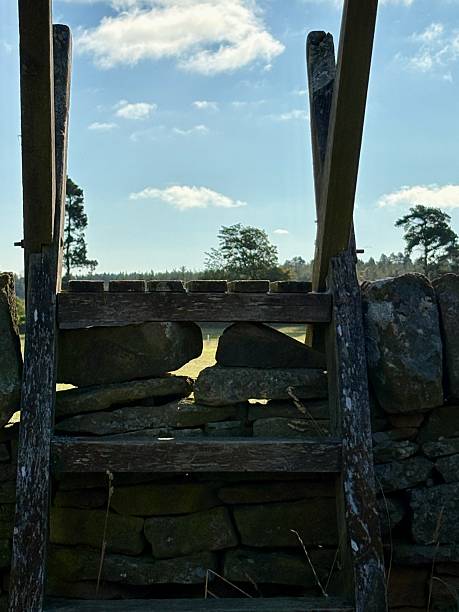 istock Rustic wooden stile over a dry stone wall in a countryside setting. Bright blue sky with scattered clouds, trees in the background. Tranquil rural landscape ideal for outdoor themes. 2230278784