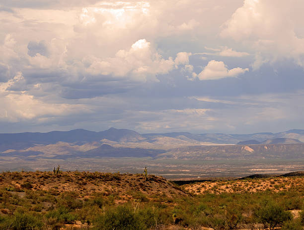 istock Landscape Sonoran Desert Arizona 2230278877
