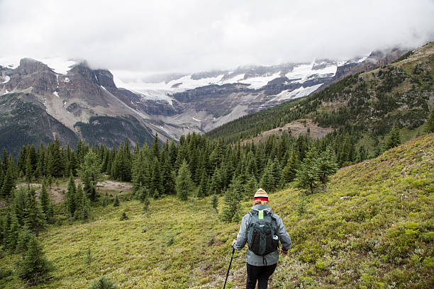 istock Hiking Assiniboine Park 2230284975