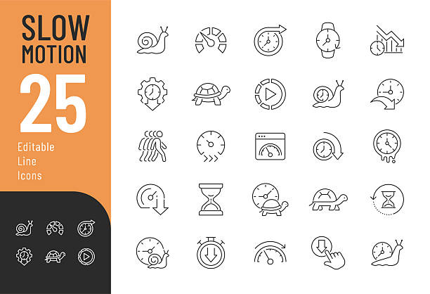 Slow Editable Icons set. Vector illustration in modern thin line style of speed related icons: productivity, time, turtle, snail, and more. Isolated on white background. arrow in animal stock illustrations