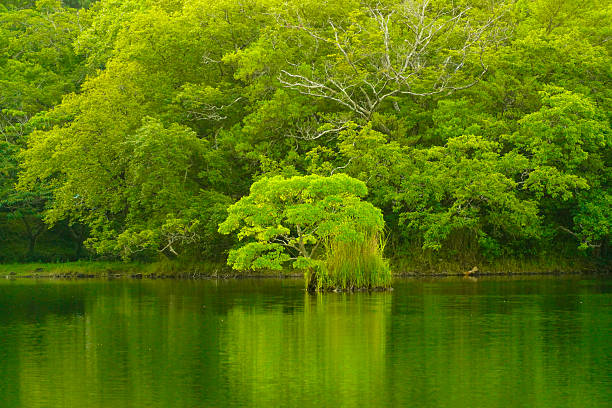 These images depict harmony with nature, which leads to sustainability.