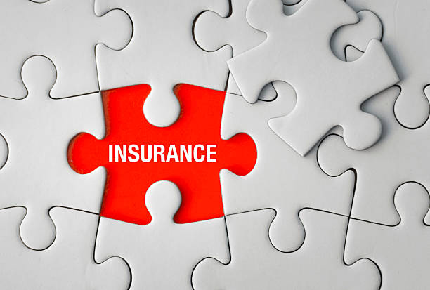 istock Insurance Concept with Red Puzzle Piece 2230290190