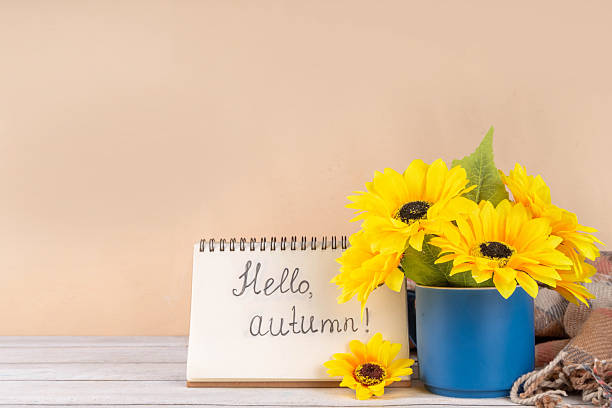 istock Hello autumn fall seasonal and holiday background 2230291484