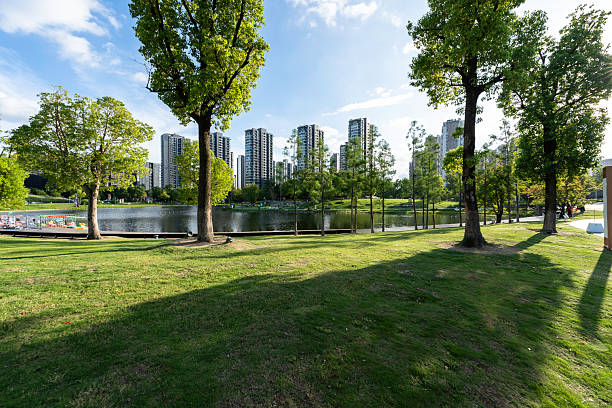 istock Green grass in a city park 2230291569