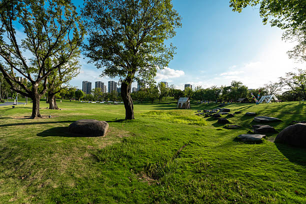 Green grass in city