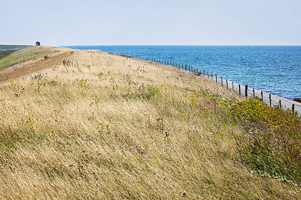 Lowlying 210+ Lowlying Stock Photos, Pictures & Royalty-Free Images - iStock