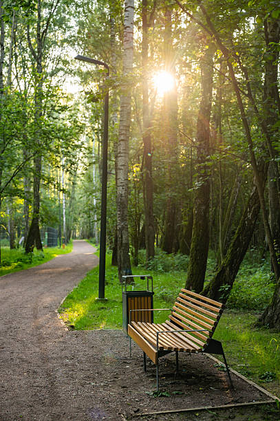 istock Empty Park Bench Under Green Trees in Sunny Park 2230294469