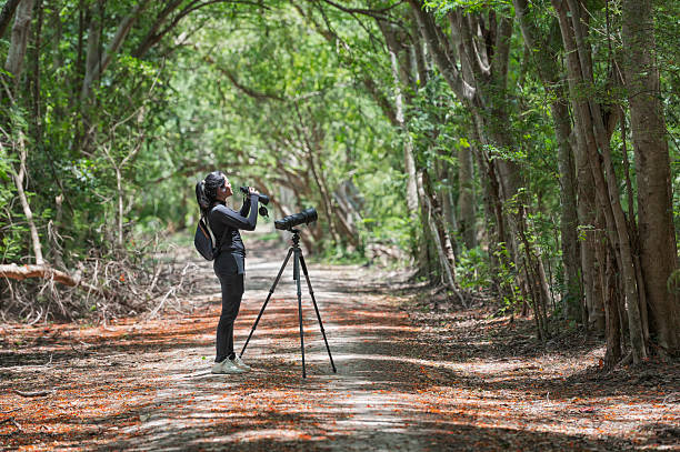 Man in floral shirt using binoculars from a birdwatching hide. Enthusiast enjoying nature and observing wildlife by the water. Birdwatcher in natural outdoor setting.