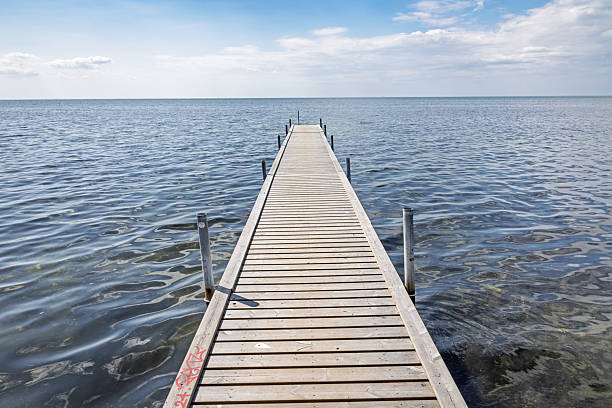 A wooden jetty on a sunny summer day, stretching out over tranquil waters. The photo was taken at the southern tip of Amager Island, now a vast public nature reserve with forests and beaches, located just minutes from downtown Copenhagen.