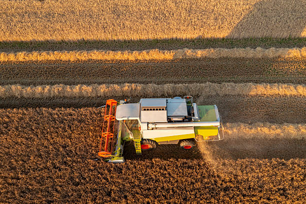 istock Combine harvester in a grain field 2230298106