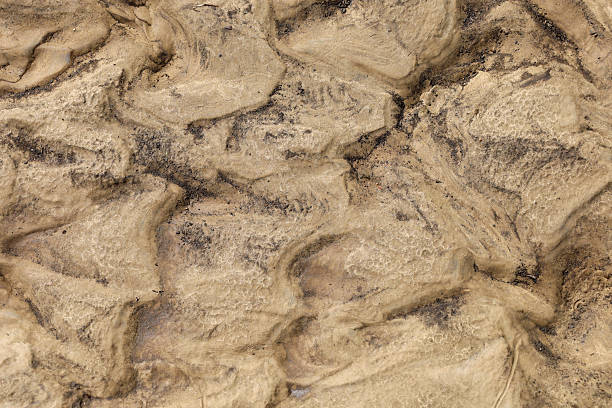 istock ​A sandy texture with chaotic patterns and deep grooves creates the impression of an ancient surface. Dark specks of dirt contrast with the light shades of the sand, giving the image a natural, rough look. 2230298330