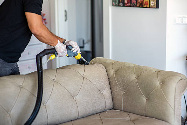 istock Man cleaning sofa with electric sofa washing machine 2230298352
