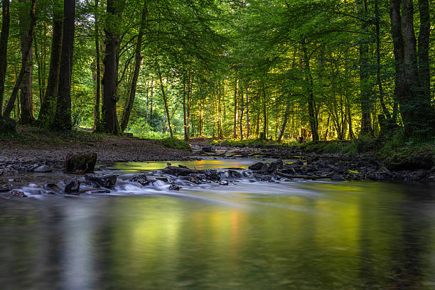 Panoramic image of landscape close to Odenthal during sunrise, Bergisches Land, North Rhine Westphalia, Germany