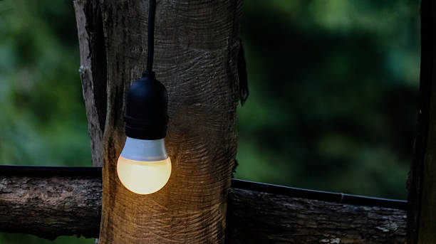istock Small light bulbs decorated on a rustic wooden fence 2230300130