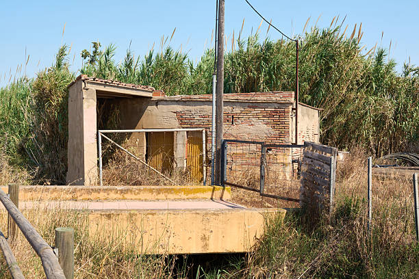 A small building in ruins with a broken roof and a rusty fence, overgrown with weeds. A visual concept of abandonment, solitude, and the past.
