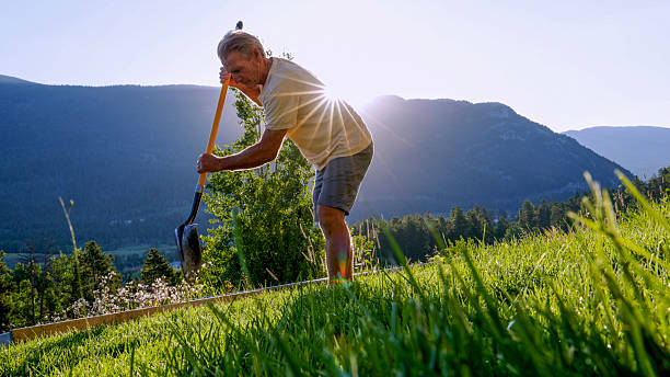 istock Mature man digs hole in yard at sunrise 2230306546