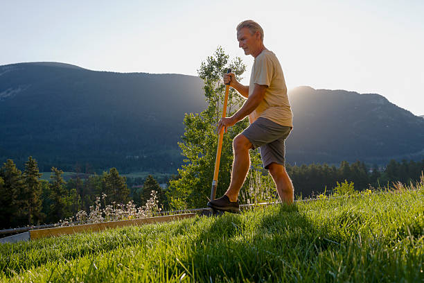 istock Mature man digs hole in yard at sunrise 2230306565