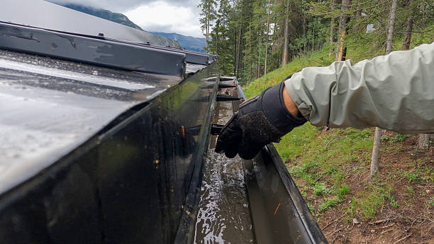 istock Cropped view of man cleaning home gutters 2230306676