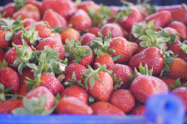 Bright red strawberries are arranged neatly for shoppers at the market.