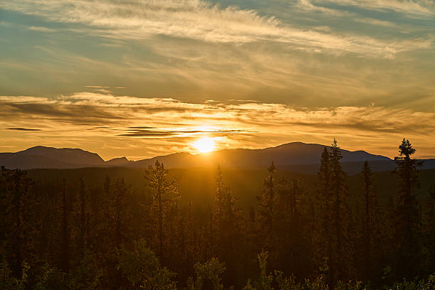 istock sunset over Nordic wilderness with endless boreal forest. 2230319186
