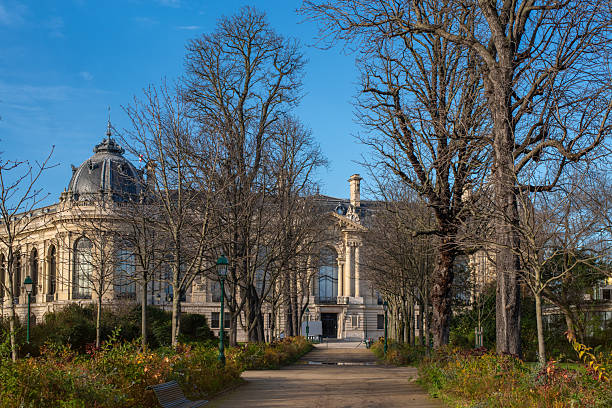 Paris, France - December 6 2024: Autumn scene in Paris with a view of the iconic Petit Palais on a sunny winter day. Bare trees line a peaceful garden path leading to this historic Beaux-Arts building