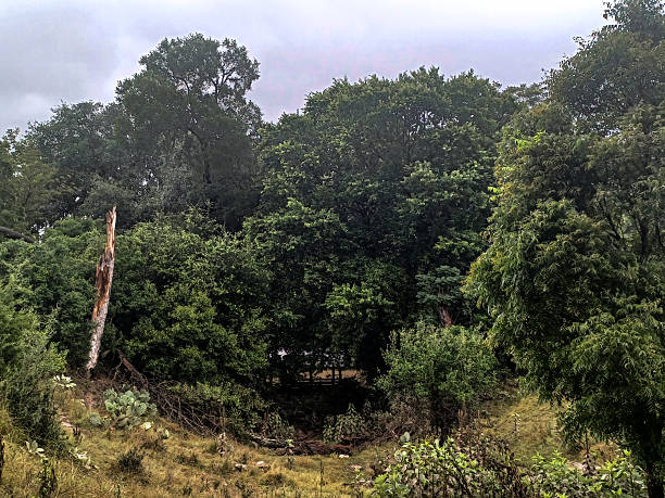 A drainage area in a Boerne, TX park.