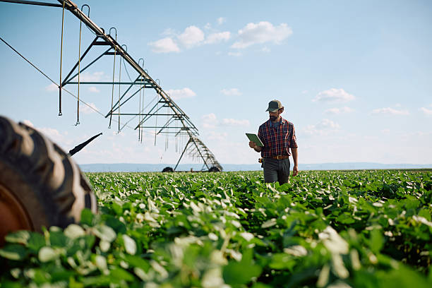 Farm worker examining crop growth while using digital tablet in the field. Copy space.