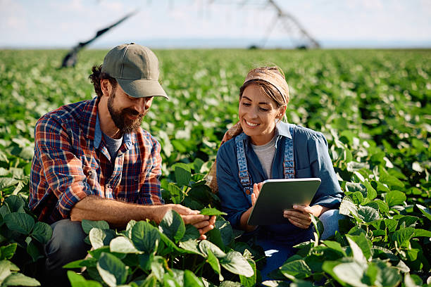 istock Happy farmers examining crop growth while using digital tablet in the field. 2230336157