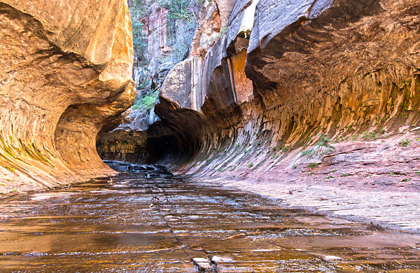 Left Fork ( Subway) beautiful  hike in Zion National Park, Utah. Spring