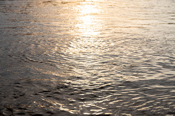 istock Rippling water surface with sunlit reflections in aquatic environment 2230341770