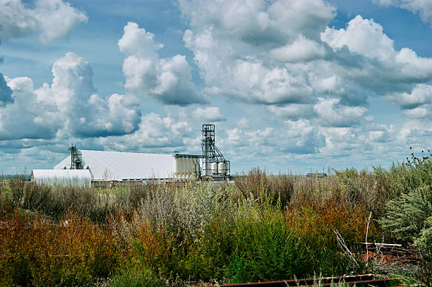 Agricultural storage facility with metal silos and white roof building in the prairie fields of Saskatchewan, Canada.