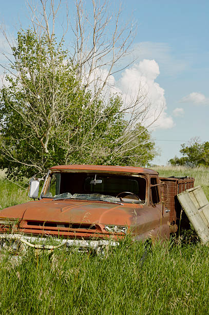 Two old trucks parked in overgrown grass near a weathered wooden house at sunset in Saskatchewan, Canada.