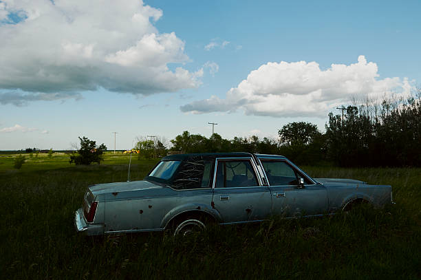 Citroën DS classic french limousine car parked in a field.
