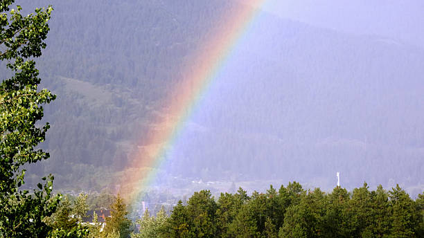 Scenic view of rainbow over forest and mountain, Crowsnest Pass, Alberta