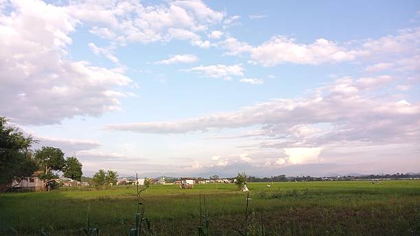 istock Serene Rural Landscape with Green Fields and Blue Sky Filled with Fluffy Clouds 2230346473