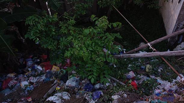 istock Overgrown Green Tree Amidst Litter and Trash in Outdoor Environment 2230346503