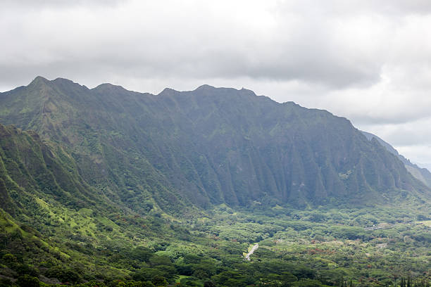 istock Lush rainforest scenery outside of Honolulu 2230346586