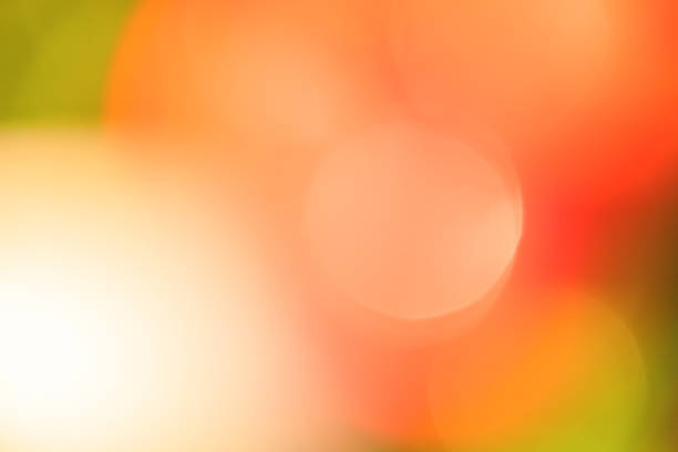 Defocused natural background of green and red colors. Abstract natural defocused lights