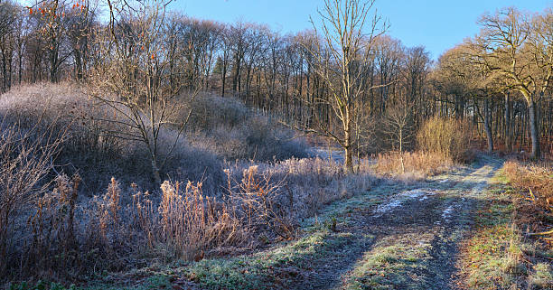 Deserted gravel road in the frozen, Dutch countryside on a winter morning. Groningen, Holland.