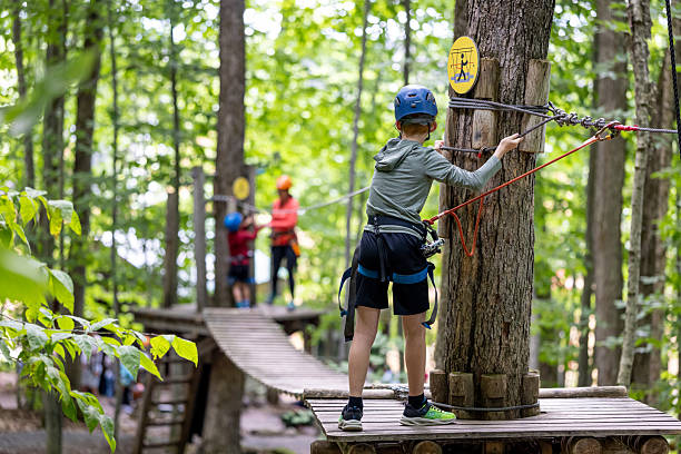 Young Boy having fun in Rope park during summer. Adventure, arbraska, arbres en arbres.