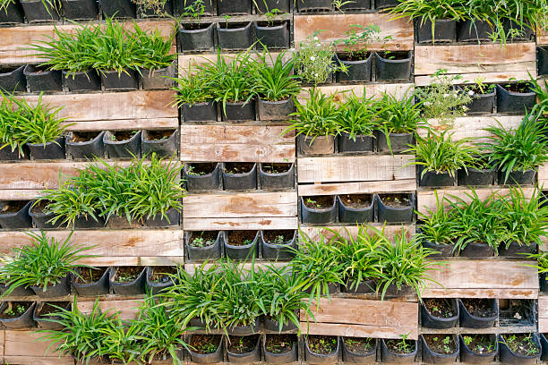 Wall of planters with plants in them. The planters are black and the wall is made of wood