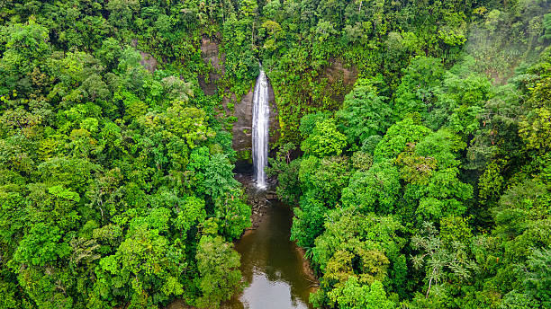 istock Stunning Waterfall in Lush Jungle 2230369129