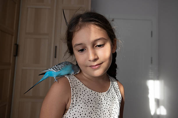 child feed parrot with hand