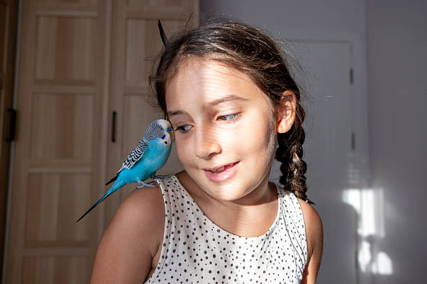 Cute Budgerigar Playing with Girls Sunglasses