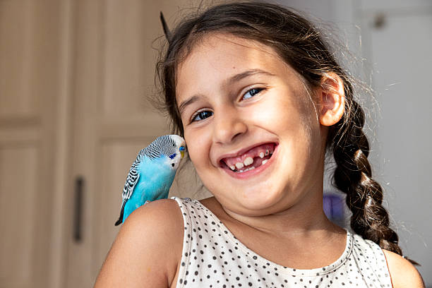 istock little girl playing with her bird 2230372646