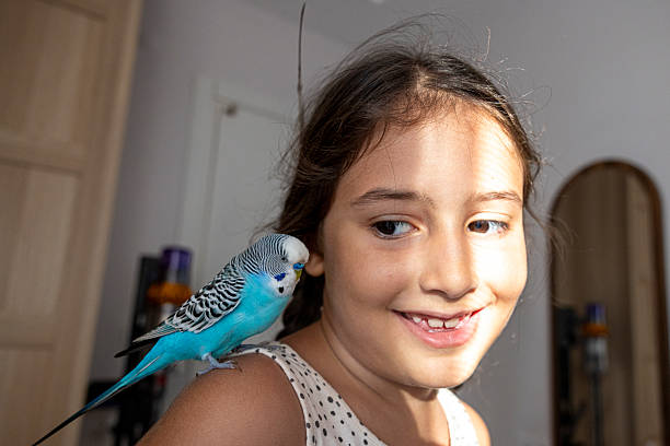 istock little girl playing with her bird 2230372647