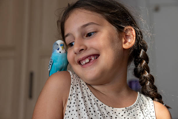 istock little girl playing with her bird 2230372648