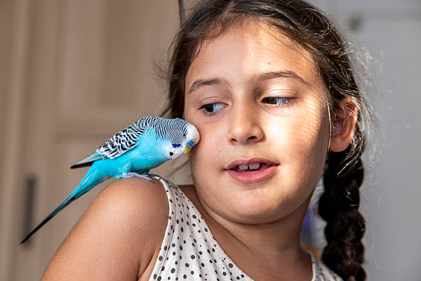 istock little girl playing with her bird 2230372700