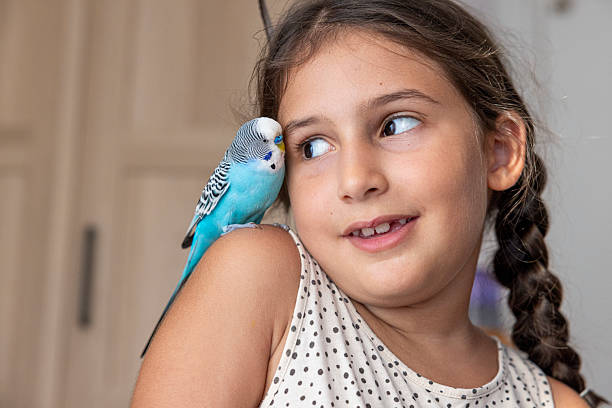 istock little girl playing with her bird 2230372704